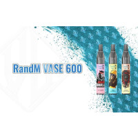 RandM Tornado Vape Vase 600 - Einweg E-Zigaretten | bis zu 600 Puffs | 350mAh |