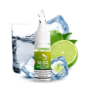 HAYVAN JUICE Ga-zoz Nikotinsalz Liquid 10ml 18mg...