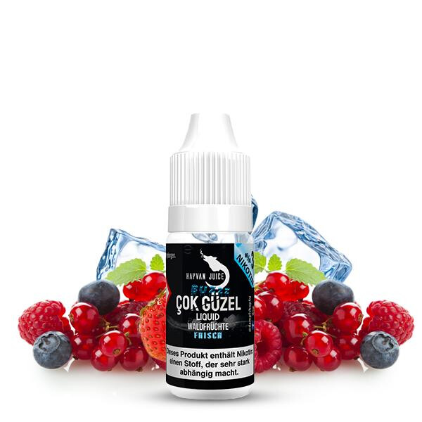HAYVAN JUICE Cok Güzel Liquid 10ml 3mg Nikotinmenge