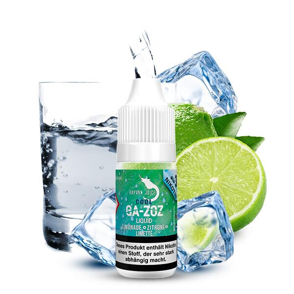 HAYVAN JUICE Cool Ga-zoz Liquid 10ml 6mg Nikotinmenge